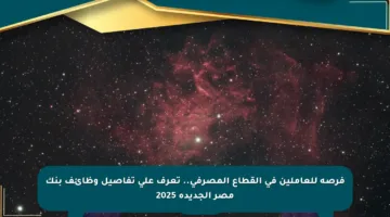 فرصة للعاملين في القطاع المصرفي.. تعرف على تفاصيل وظائف بنك مصر الجديدة 2025